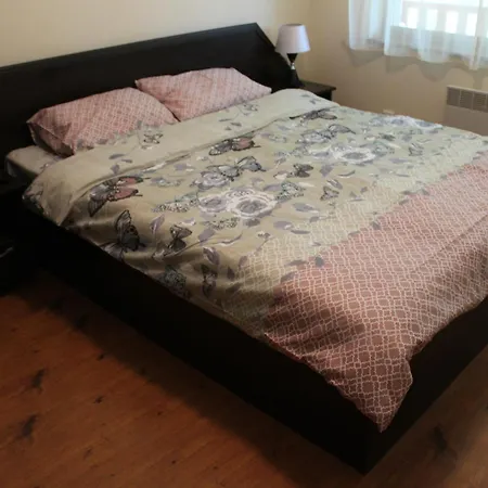Appartement In Forest Glade Pamporovo