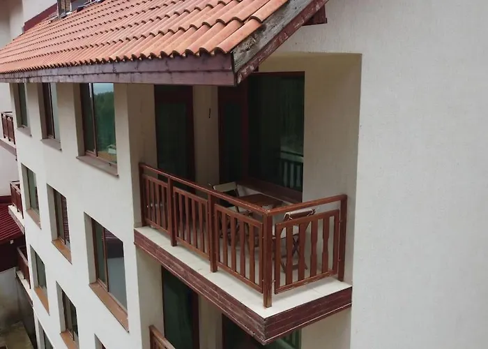 In Forest Glade * 팜포로보