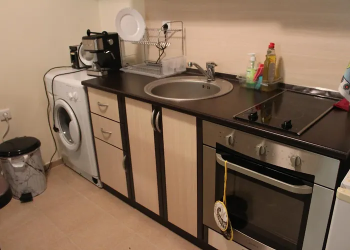 In Forest Glade 팜포로보