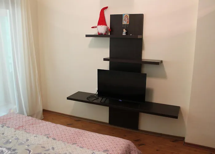 In Forest Glade * 팜포로보