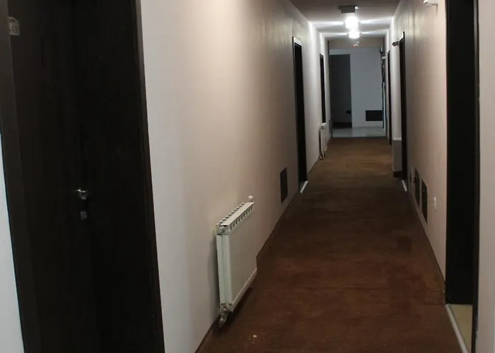 In Forest Glade 팜포로보